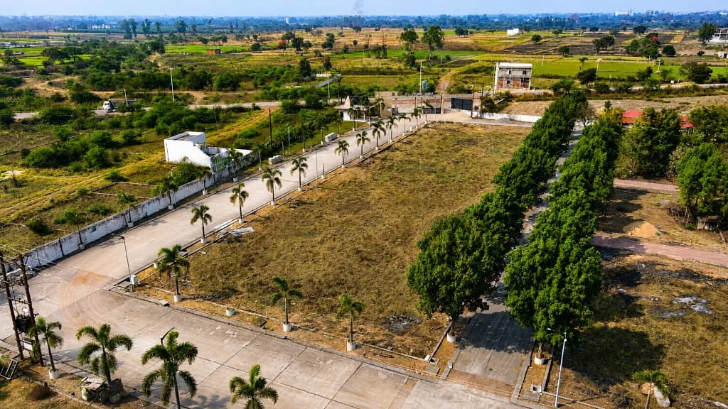 Aerial plantation and avenue view at Multi Sports City