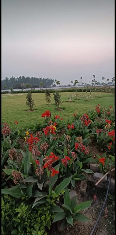 Wallfort Greens — RERA approved residential plots in Amleshwar, Raipur